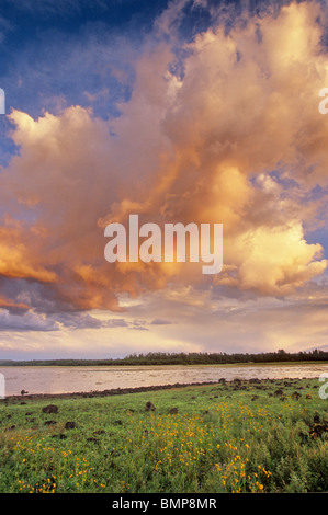 Sonnenuntergang Himmel über Lower Lake Mary, Coconino National Forest, südlich von Flagstaff, Arizona, USA Stockfoto