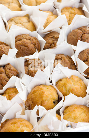 viele frisch gebackene kleine Muffins Kuchen in Reihen Stockfoto