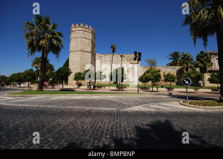 Burg (Alcazaba), Jerez De La Frontera, Provinz Cadiz, Andalusien, Südspanien, Westeuropa. Stockfoto