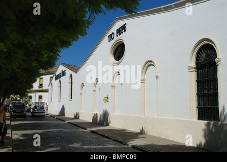 Gonzalez Byass Bodega Tio Pepe Bodega in Jerez De La Frontera, Provinz Cadiz, Andalusien, Spanien, Westeuropa. Stockfoto