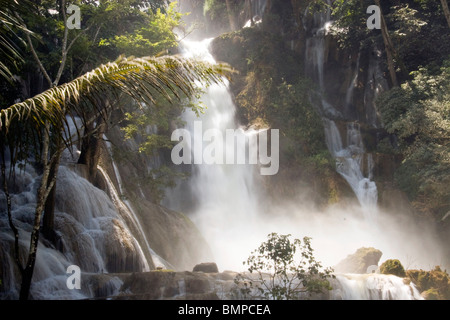 Tat Kuang Si Wasserfall in Laos Stockfoto