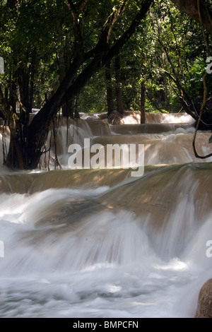 Tat Kuang Si Wasserfall in Laos Stockfoto