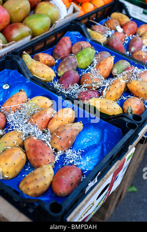 Stachelige Birne Obst und Mangos zum Verkauf an ein Gemüsehändler in Paris, Frankreich Stockfoto