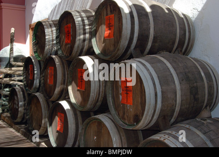 Weinfässer im Museo del Vino de Ronda (Museum), Ronda, Provinz Malaga, Andalusien, Südspanien, Westeuropa. Stockfoto