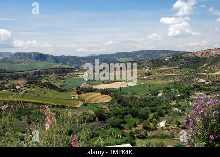 Blick auf die umliegende Landschaft, Ronda, Provinz Malaga, Andalusien, Südspanien, Westeuropa. Stockfoto