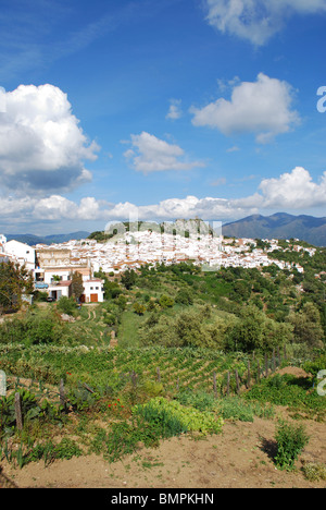 Weiß gewaschen Dorf (Pueblo Blanco), Westeuropa Gaucin, Provinz Malaga, Andalusien, Spanien. Stockfoto