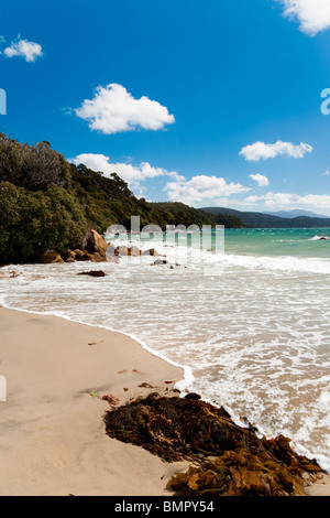 Küsten-Ansicht von Stewart Island, Neuseeland, mit Meer, sandigen Strand und blauen Himmel. Stockfoto