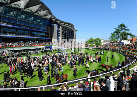 Blick auf die Parade Ring tagsüber zwei Royal Ascot 2010 Stockfoto