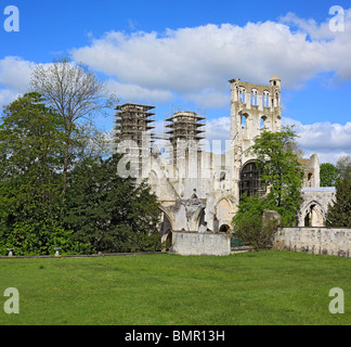 Jumieges Abbey, Seine-Maritime Abteilung, Haute-Normandie, Frankreich Stockfoto