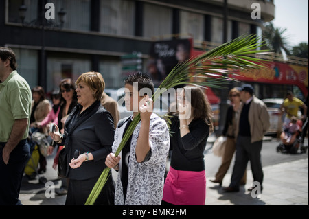 MIT PALM VERLÄSST AM PALMSONNTAG, DIA DE RAMOS. Stockfoto