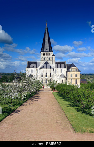 Abteikirche St.Georges, Saint-Martin-de-Boscherville, Seine-Maritime Departement Haute-Normandie, Frankreich Stockfoto