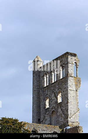 Jumieges Abbey, Seine-Maritime Abteilung, Haute-Normandie, Frankreich Stockfoto