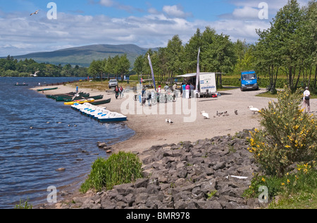 Eine Familie von Schwänen nährst am Loch Lomond Shores West Dunbartonshire Schottland mit Booten und Zyklen zu mieten hinter. Stockfoto