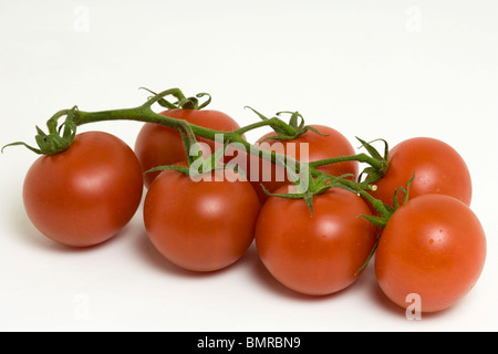 Rotwein-Tomaten. Stockfoto