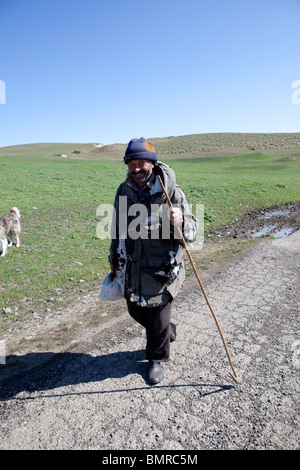 Schäfer, David Gareja Klosterkomplex, Georgien, Aserbaidschan Grenze Stockfoto