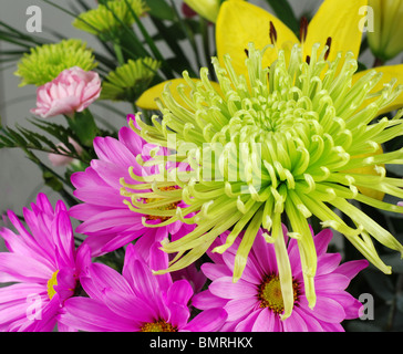 Blumenstrauß mit anderen Müttern und gerbera Stockfoto