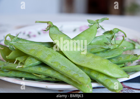 frische grüne Erbsen, frisch gepflückt auf eine Platte gelegt. Stockfoto