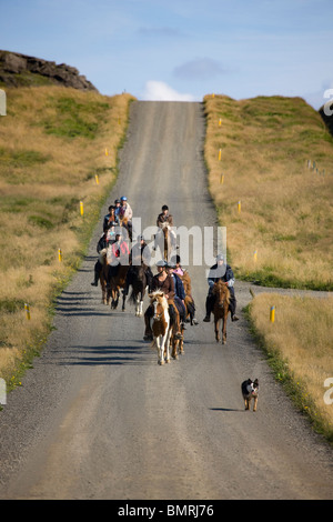 Reiten im Süden Islands. Reiten durch das Ackerland von Hrunamannahreppur. Stockfoto
