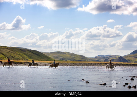 Reiten im Süden Islands. Reiten durch das Ackerland von Hrunamannahreppur. Überqueren den Fluss Stora-Laxa. Stockfoto