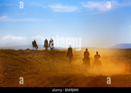 Reiten im Süden Islands Stockfoto