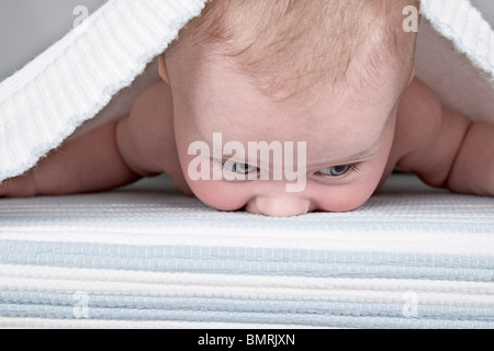 Vier Monate altes Baby unter einem Bettlaken Stockfoto