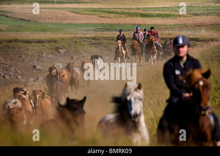 Reiten im Süden Islands. Die Highland Plateaus mit Bergen und Gletschern im Hintergrund. Stockfoto