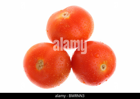 Drei reife Tomaten mit Tau isoliert auf weiss Stockfoto