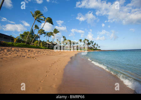 Napili Bay, Maui, Hawaii Stockfoto