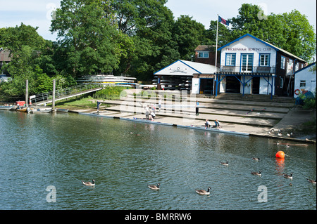 Ruderer außerhalb Twickenham Ruderclub auf der Themse Stockfoto