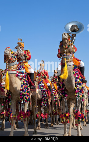 Armee-Musik-Band-Reiten-Kamele. Jaisalmer Wüste Festival. Rajasthan. Indien Stockfoto