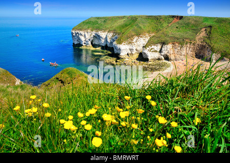 Die Chalk Küstenlinie bei Flamborough Head, an einem sonnigen Sommertag Yorkshire, England Stockfoto