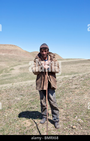 Schäfer, David Gareja Klosterkomplex, Georgien, Aserbaidschan Grenze Stockfoto