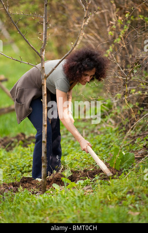 Junge rothaarige Dame arbeitet mit einer Hacke auf dem Lande Stockfoto