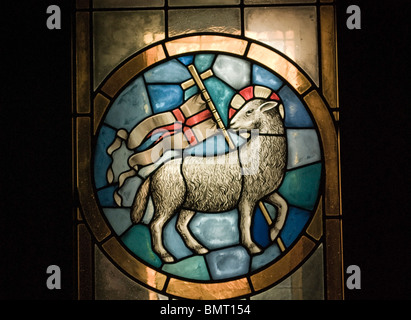 Glasmalerei Darstellung das Agnus Dei (The Lamb Of God) im Dom, Florenz, Italien Stockfoto