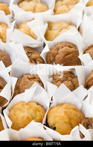 viele frisch gebackene kleine Muffins Kuchen in Reihen Stockfoto