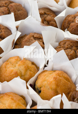 viele frisch gebackene kleine Muffins Kuchen in Reihen Stockfoto