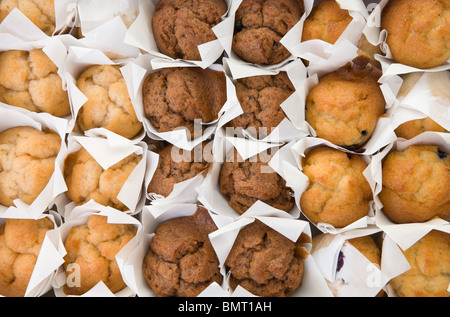 viele frisch gebackene kleine Muffins Kuchen in Reihen Stockfoto