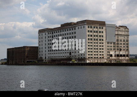 Spillers Millennium Mills am Royal Victoria Docks, London Docklands Stockfoto