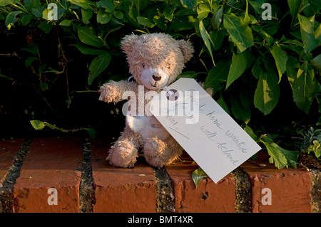 Verlassene Teddybär auf der Suche nach ein gutes Zuhause Stockfoto