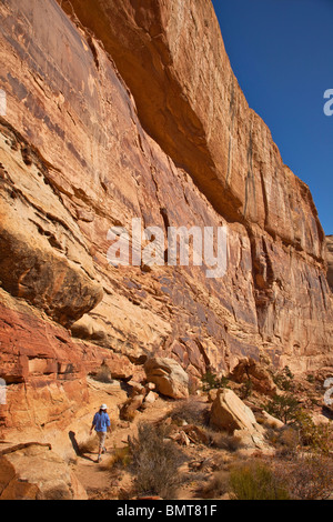 Wanderer auf goldenen Thron Trail im Capitol Reef National Park, Utah, USA Stockfoto