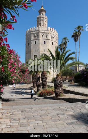 Der Torre del Oro in Sevilla, einst Teil der Städte Verteidigung nun eine maritime Museum Sevilla Andalusien Spanien Europa Stockfoto