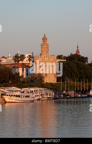 Der Torre del Oro am Ufer des Flusses Guadalquivir in Sevilla Andalusien Spanien Europa Stockfoto