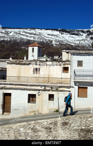 Typische Stadthäuser mit Schnee bedeckt Berge nach hinten, Capileira, Las Alpujarras, Provinz Granada, Andalusien, Spanien, Europa. Stockfoto