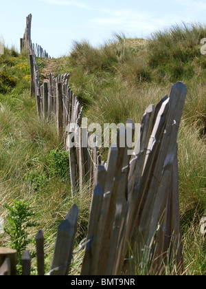 Alten Holzzaun durch die Sanddünen, Westward Ho!, North Devon. Stockfoto