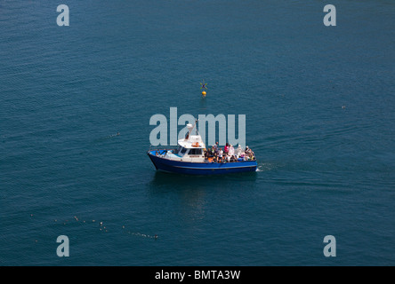 Die Dale Prinzessin Motorboot bringen Besucher auf Skomer Island von Martins Haven zu sehen, die Kolonien von Seevögeln im Sommer Stockfoto