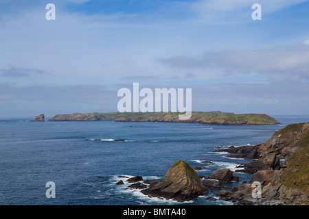 Skomer Island vom Pembrokeshire Küstenweg. Stockfoto