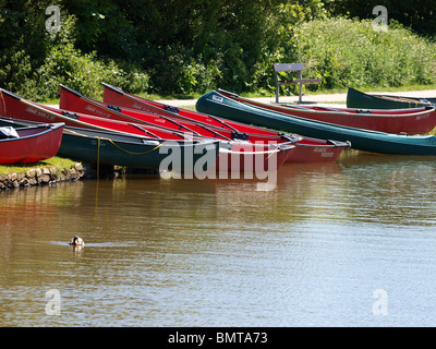 Kanus auf der Seite der Bude Kanal, Cornwall, UK Stockfoto