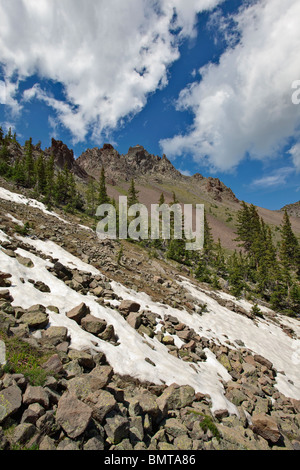 Inneren Becken, Tundravegetation und anhaltenden Schneewehen unter Humphreys Peak, Coconino National Forest, in der Nähe von Flagstaff, Arizona Stockfoto