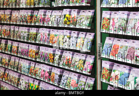 Flower Shop Amsterdam Stockfoto