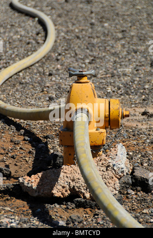 Feuer Schlauch Schlangen aus einem Hydranten während Heißausbildung. Stockfoto